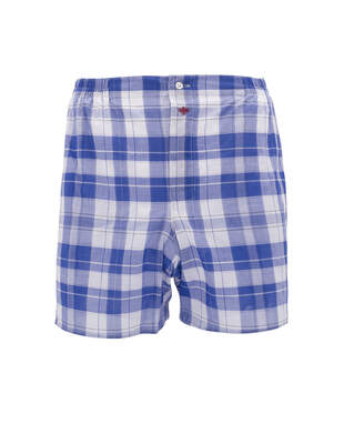 White and Blue Checkered Boxer Shorts