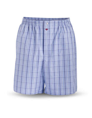 Blue and White Checkered Boxer Shorts