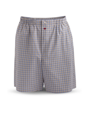 White Brown Beige and Blue Checkered Boxer Shorts