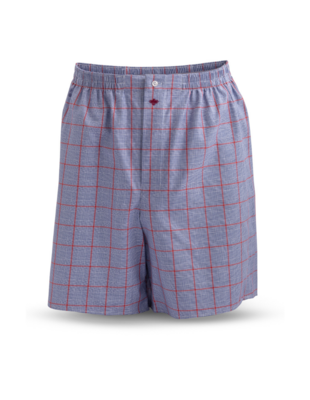 Blue Red and White Checkered Boxer Shorts